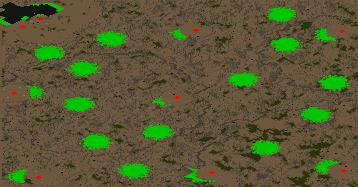 Tierra Duro (2-4) preview