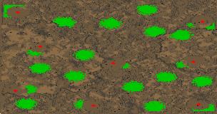 Desert Nights preview