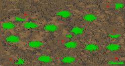 Garden Party(2-5) preview