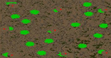 Tierra Duro (2-4) preview