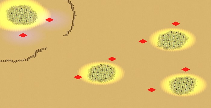 Army of Two (2-8) preview