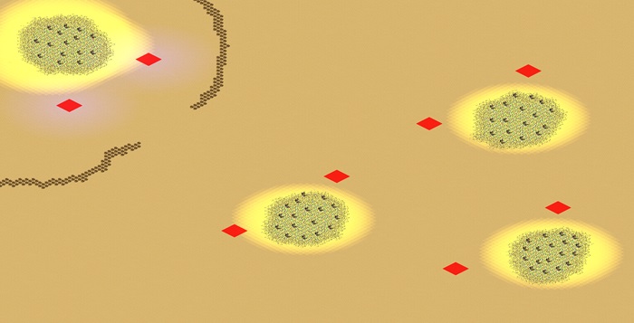 Army of Two (2-8) preview