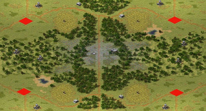 money in the forest preview