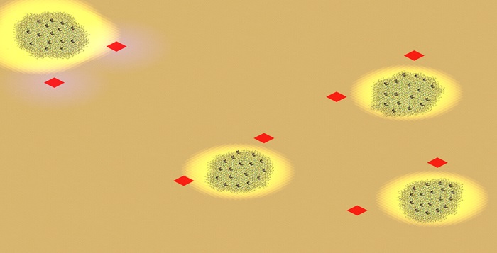 Army of Two (2-8) preview