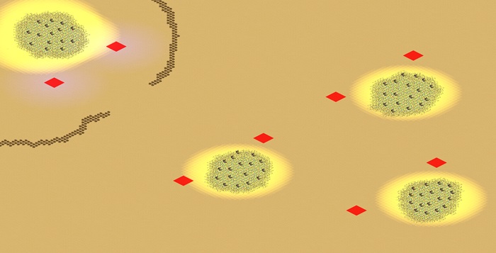 Army of Two (2-8) preview